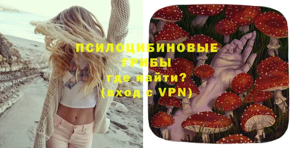 ПСИЛОЦИБИНОВЫЕ ГРИБЫ Сосновоборск