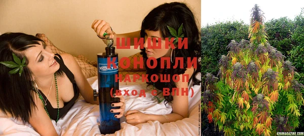 МДПВ Сосновый Бор