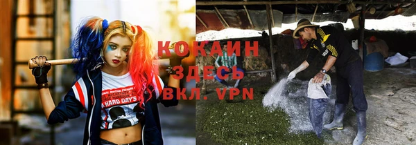 МДПВ Сосновый Бор
