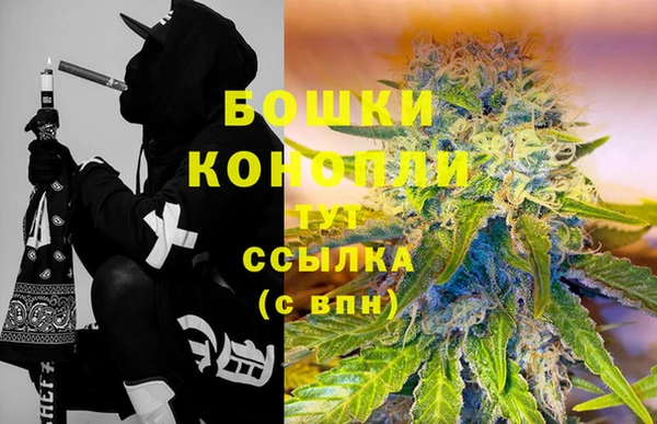 спиды Снежногорск