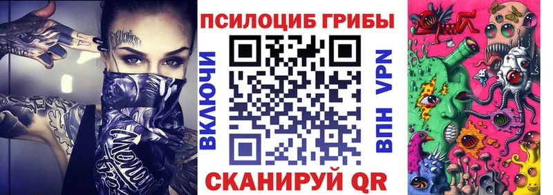 Псилоцибиновые грибы Cubensis  kraken вход  Южа 